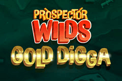 Prospector Wilds Gold Digga slot