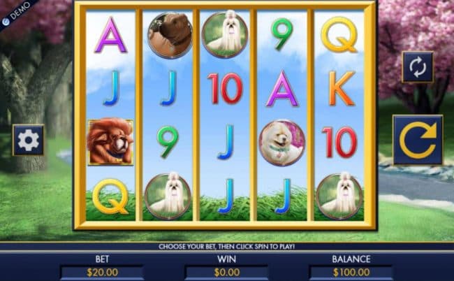 A dog themed main game board featuring five reels and 1024 winning combinations with a $1,280 max payout