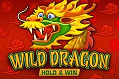Wild Dragon Hold & Win slot