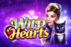 Wild Hearts slot