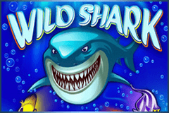 Wild Shark slot