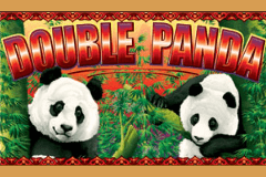 Double Panda slot