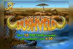 Bushveld slot