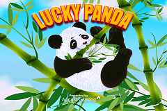 Lucky Panda slot