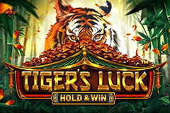 Tiger's Luck Hold & Win slot