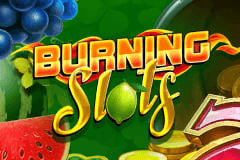 Burning Slots slot