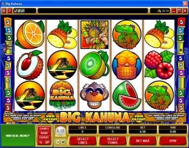 Big Kahuna screenshot 1