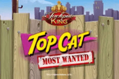 Top Cat Most Wanted slot
