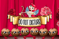 Do Not Disturb slot