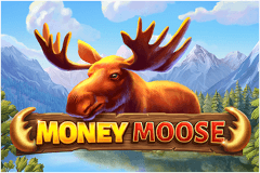 Money Moose slot