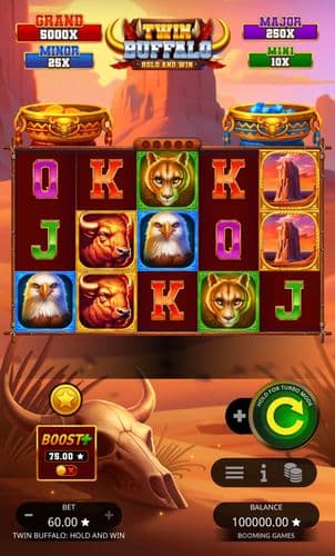 Twin Buffalo Hold and Win screenshot 1