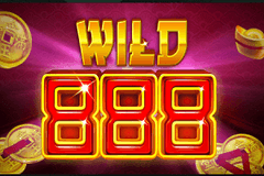 Wild 888 slot