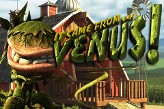 It Came From Venus slot