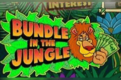 Bundle in the Jungle slot