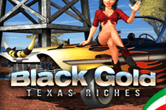 Black Gold Texas Riches slot