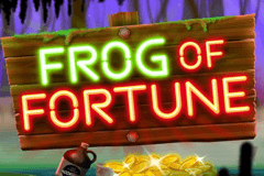 Frog of Fortune slot
