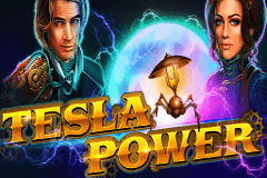 Tesla Power slot