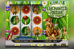 Enchanted Fortune slot
