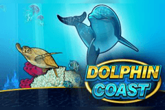 Dolphin Coast slot