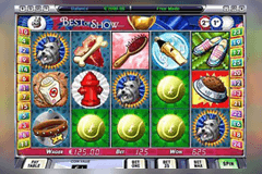 Best Of Show slot