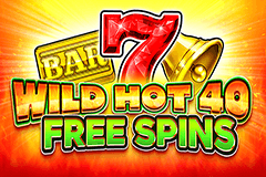 Wild Hot 40 Free Spins slot