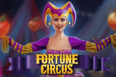 Fortune Circus slot