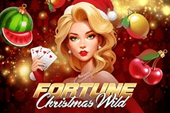 Fortune Christmas Wild slot