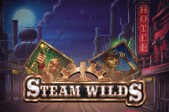Steam Wilds slot