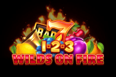1-2-3 Wilds on Fire logo