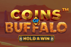 Coins of Buffalo slot
