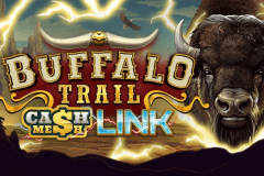 Buffalo Trail Cash Mesh Link logo