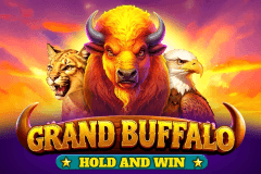 Grand Buffalo Hold & Win slot
