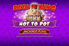Reel King Hot To Pot logo