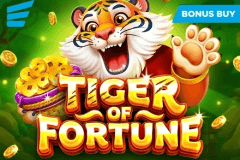 Tiger of Fortune slot