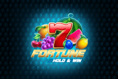 Fortune Hold & Win slot