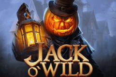 Jack O'Wild slot