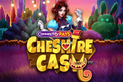 Connectify Pays Cheshire Cash logo