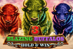 3 Blazing Buffalos: Hold & Win logo