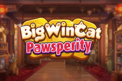 Big Win Cat Pawsperity slot