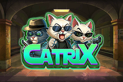 Catrix slot