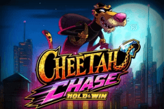 Cheetah Chase logo
