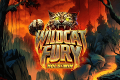 Wildcat Fury slot