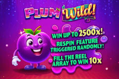 Plum Wild! logo
