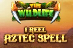1 Reel - Aztec Spell slot