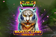 Majestic Claws - Hold & Hit slot