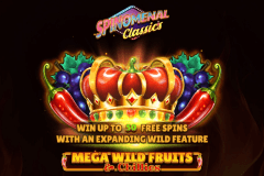 Mega Wild Fruits & Chillies slot