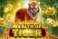 Wealth of Tiger slot