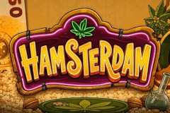 Hamsterdam slot