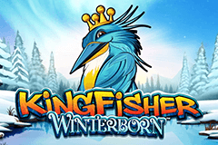 Kingfisher Winterborn slot