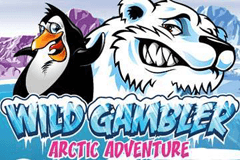 Wild Gambler Artic Adventure slot